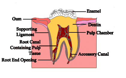 procedure-1